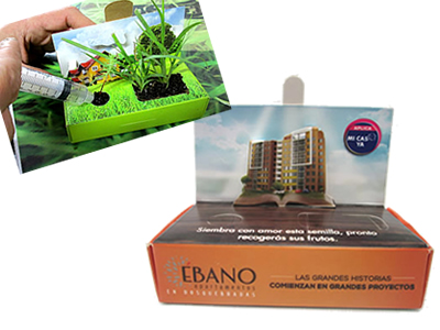 Cajita jardín con plantas naturales árboles y flores.