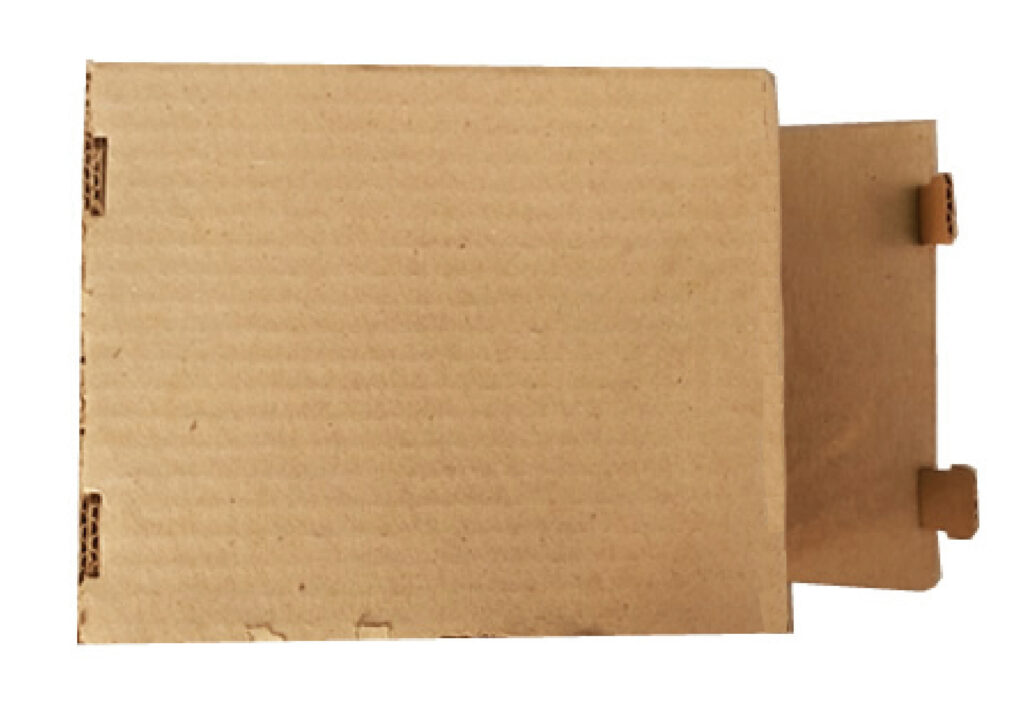 Caja Germinable para Huevos – Merchandising ecológico