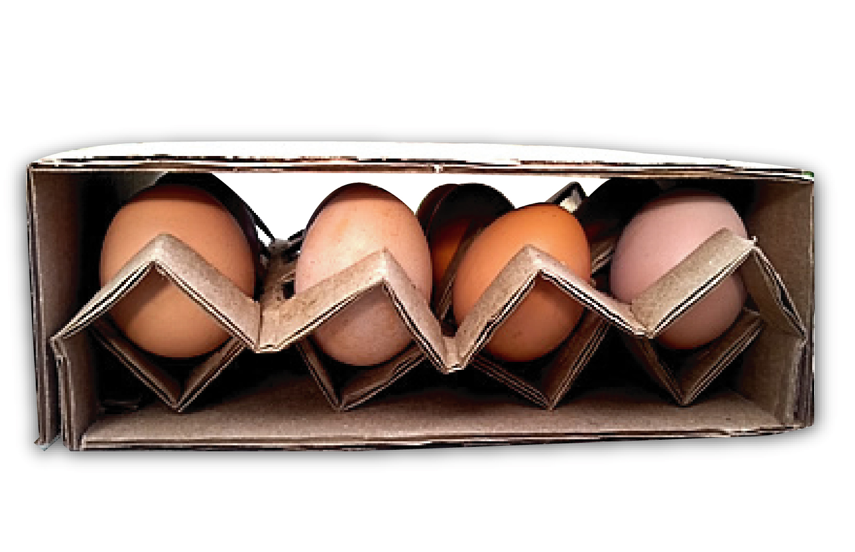 Caja Germinable para Huevos – Merchandising ecológico